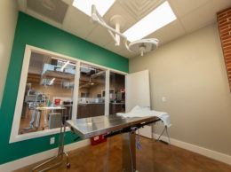 3 Tips for Designing Your Veterinary Practice